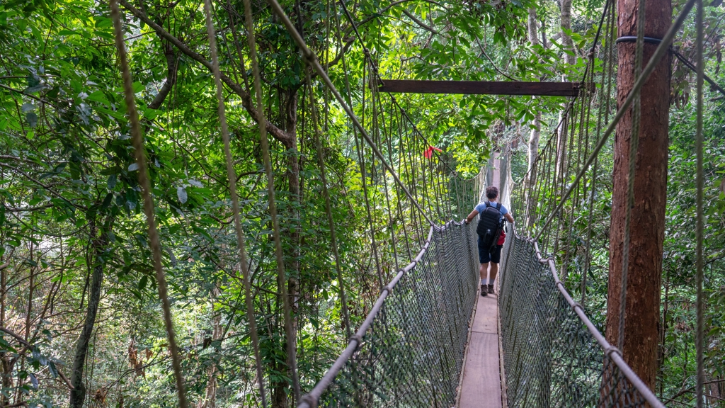 MSF - Taman Negara 2.jpg