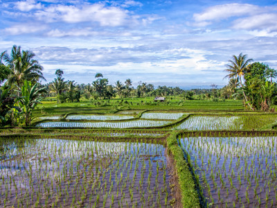 Route Java, Bali, Lombok & Gili Air, 22 dagen 2022 - Day 18