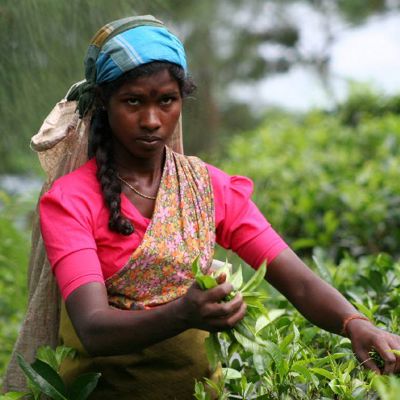 Lokale bevolking Sri Lanka