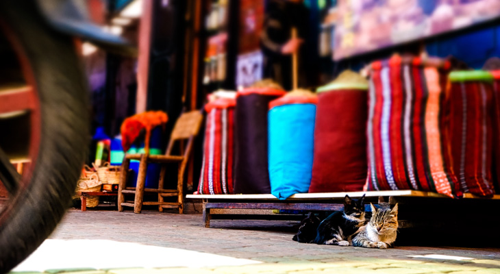 Markt in Marrakech, Marokko Markt in Marrakech, Marokko