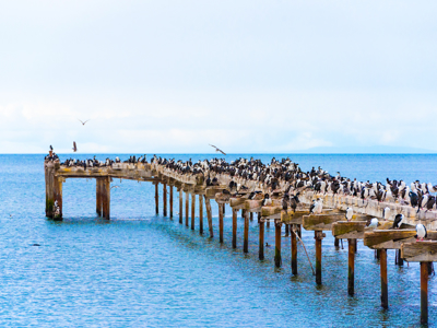 Route Patagonië / Paaseiland, 30 dagen - Dag 9
