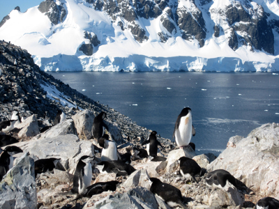 Antarctica Route - Dag 7