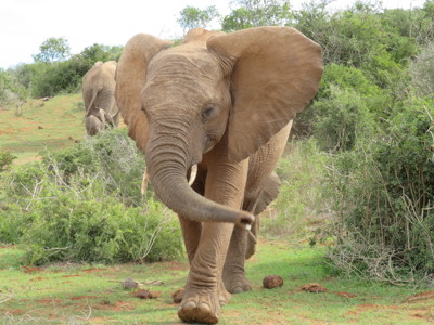 Route Johannesburg - Kaapstad, 24 dagen - Dag 15