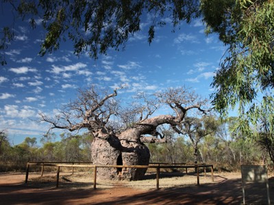 Route West Australië, 25 dagen - Dag 15