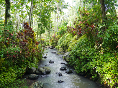 Route Java en Bali, 17 dagen - Day 8