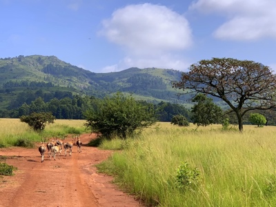 Route Zuid-Afrika, 17 dagen - Day 8