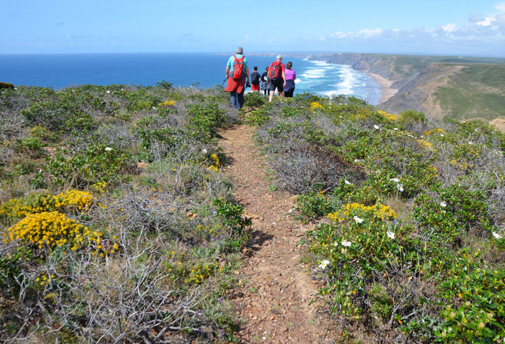 main_TSV_between_Praia_do_Amado_and_Cabo_de_Sao_Vincente_shutterstock_654799234.jpg