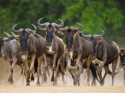 Route 22-35 Kenia & Tanzania, 20 dagen - Day 8