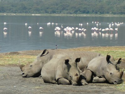 Route Kenia, Tanzania en Zanzibar, 18 dagen - Dag 5