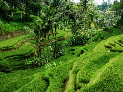 Route Timor, Sumba & Bali, 22 dagen - Day 17