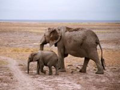 Route Kenia, 16 dagen - Day 10