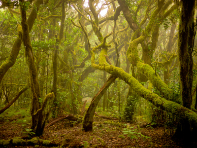 Canarische Eilanden, 11 dagen - Day 3