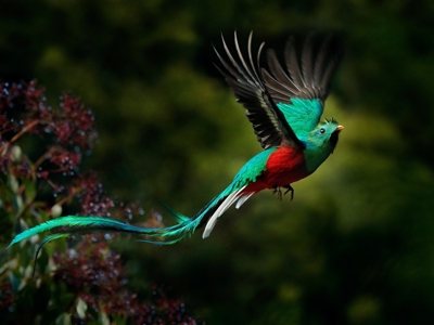 Route Guatemala, 21 dagen - Day 2