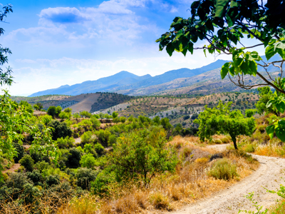 Route 8 daagse wandelvakantie Sierra Nevada & Granada - Day 2