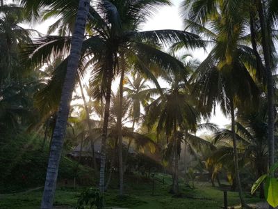 Route Colombia, 21 dagen (2019) - Day 16