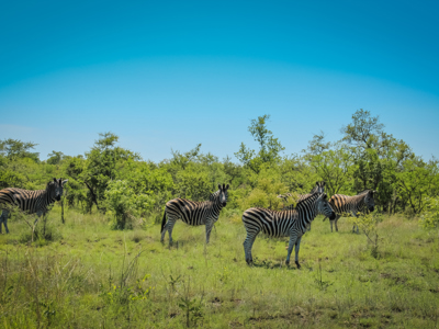 Route Zuid Afrika - Dag 19
